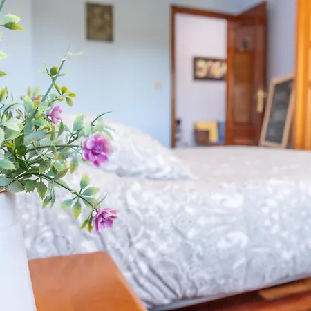 Ultreia Palas de Rei